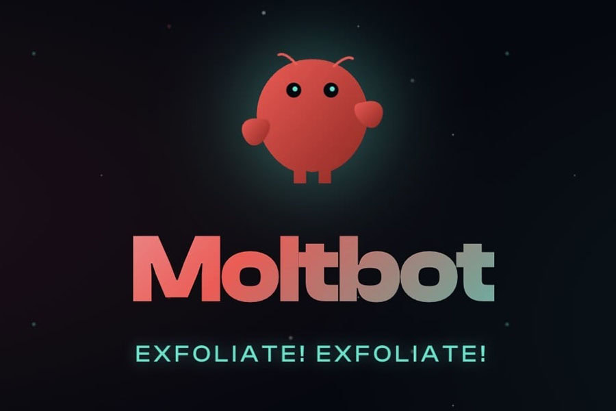 Moltbot