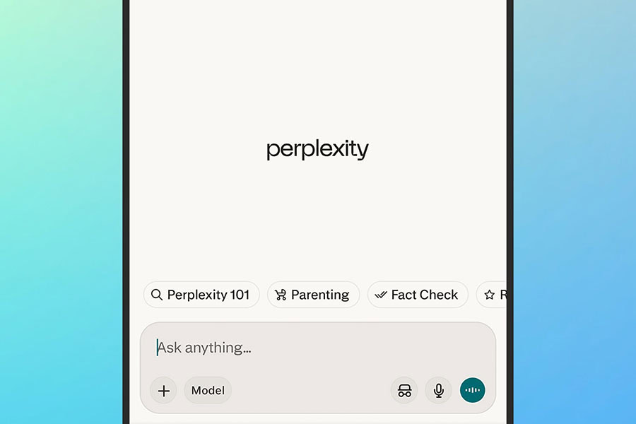 Perplexity